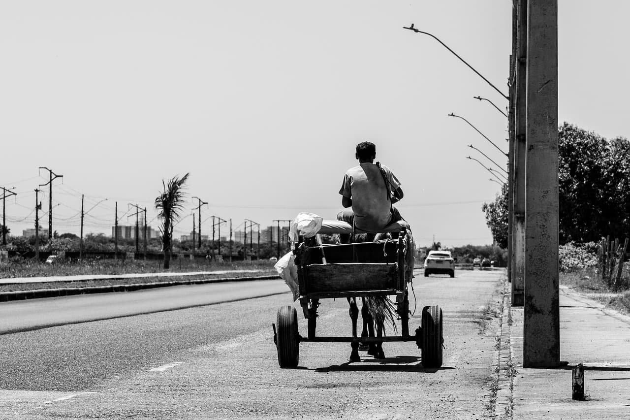 man, cart, street, job, black and white, black and white, black and white, black and white, black and white, black and white