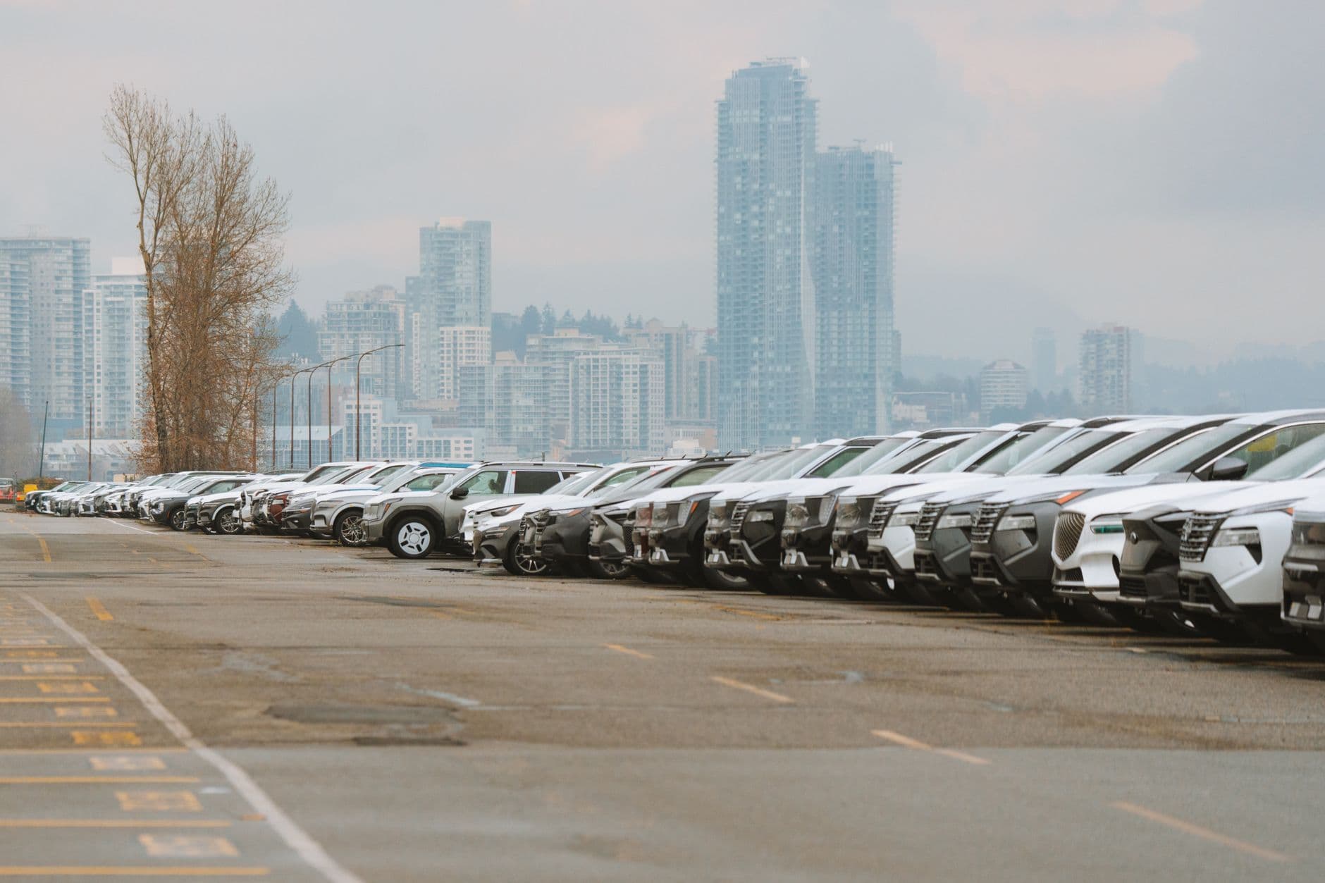 A line of parked cars in an urban parking lot with a city skyline in the background.